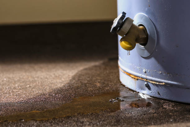 Best 24-hour water damage restoration  in Swartzville, PA