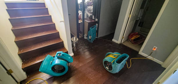 Best Water damage restoration experts  in Swartzville, PA