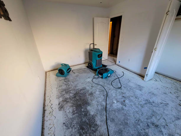 Best Basement water damage restoration  in Swartzville, PA