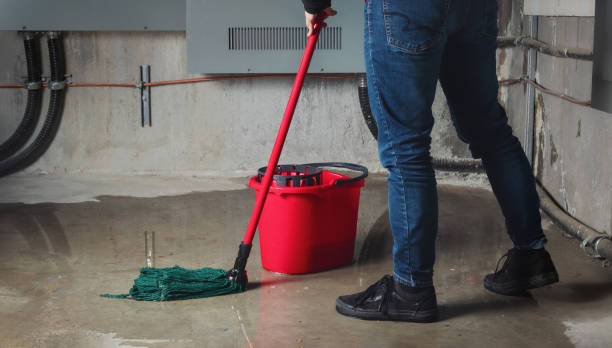 Best Professional water damage repair  in Swartzville, PA