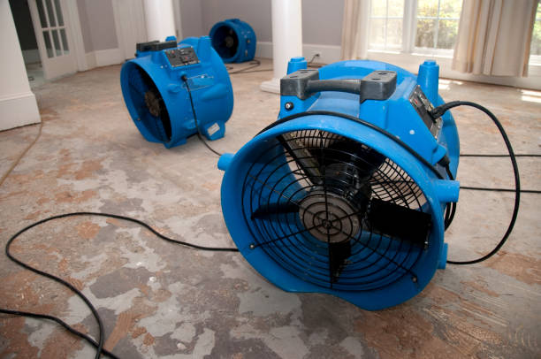 Best Fire Damage Restoration  in Swartzville, PA