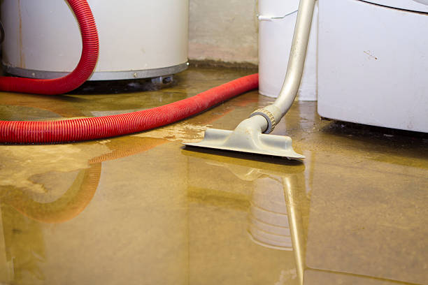 Best Mold removal after water damage  in Swartzville, PA